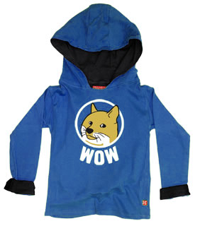 Doge Shibe Wow Kids Hoody